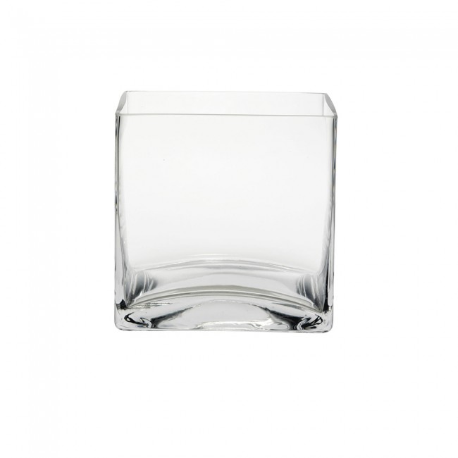 Oasis Glass Cube 12cm Oasis Glassware